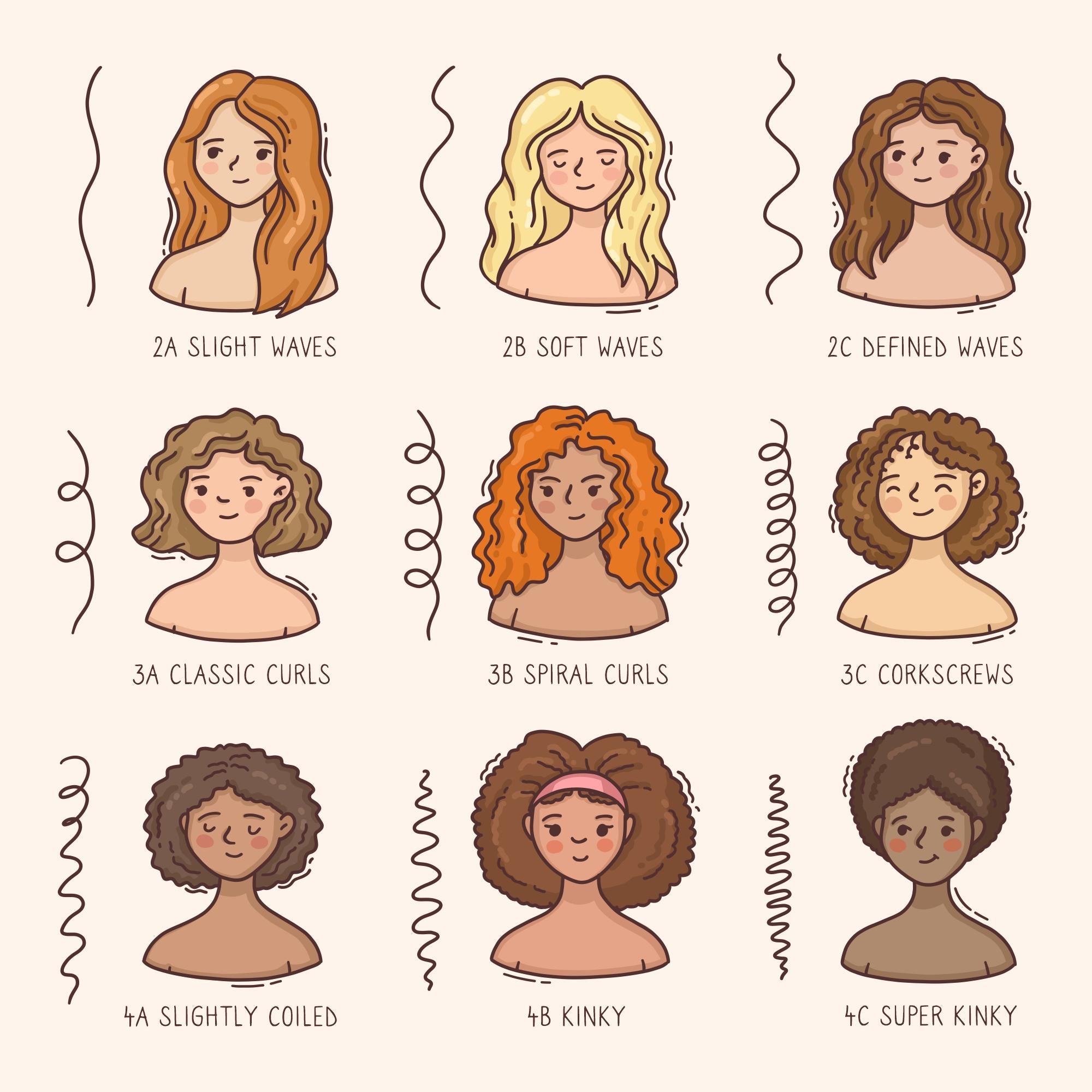 Tabella Della Struttura Dei Capelli 4a